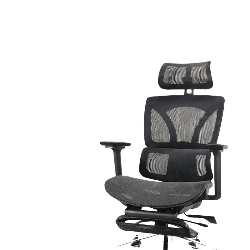Chaise de bureau ergonomique R - Home Office Design avis et prix